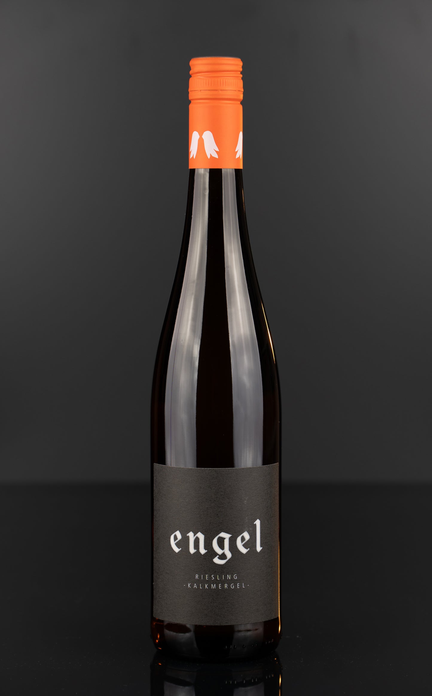 2023 Riesling Kalkmergel